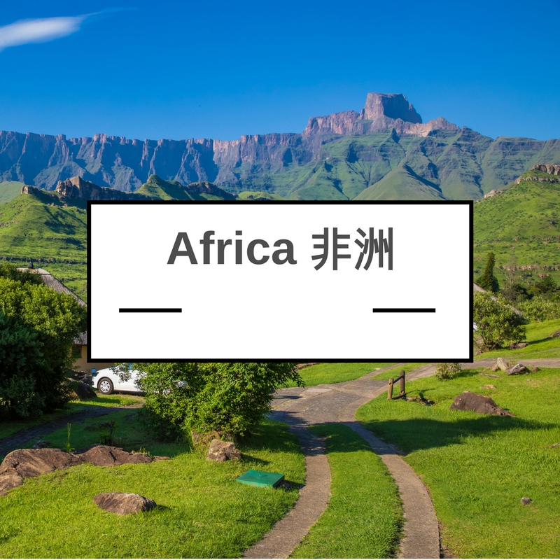 非洲wifi蛋租借無限高速上網家用上網商業流動數據 Africa travel pocket wifi egg